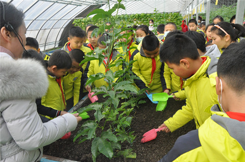 桓台县实验小学举行劳动教育实践基地签约仪式暨劳动实践活动