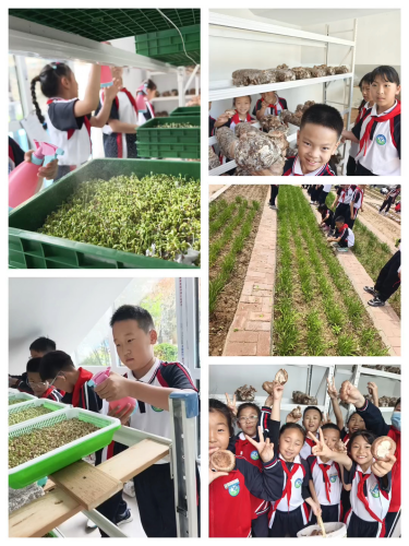 图片18_副本.png