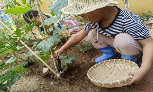 IMG_20230626_092822_副本.jpg
