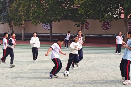 IMG_20241015_101127_edit_84646608563490_副本.jpg